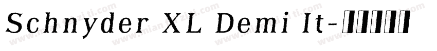 Schnyder XL Demi It字体转换